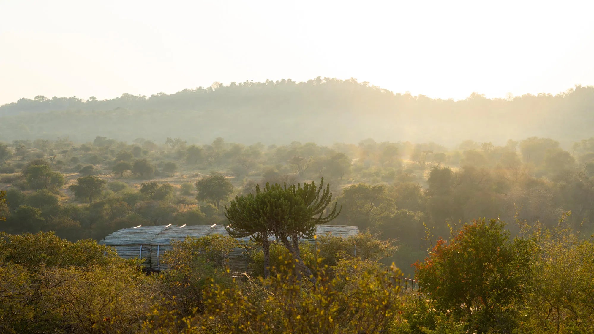 Singita Lebombo Lodge View at Singita Lebombo Lodge, Kruger National Park, South Africa.