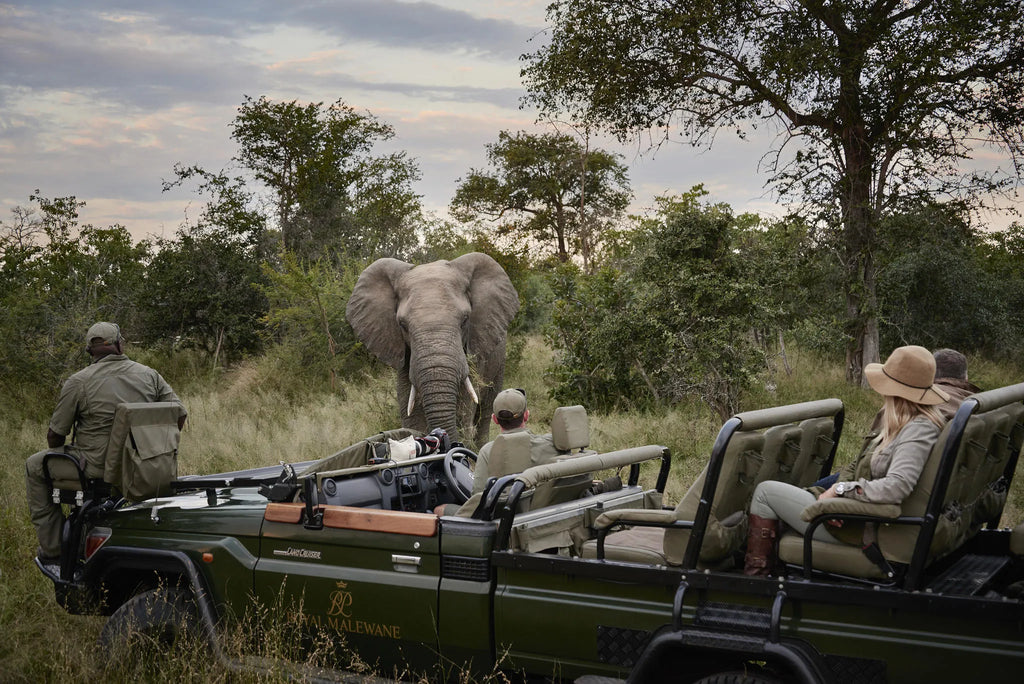 Game Drive with Elephants at Malewane Lodge at Royal Malewane, Thornybush Game Reserve, South Africa.