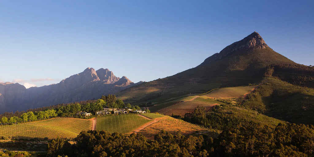 At home in the landscape at Delaire Graff Lodges & Spa, Stellenbosch, South Africa.