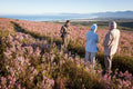 Gallery image 2.