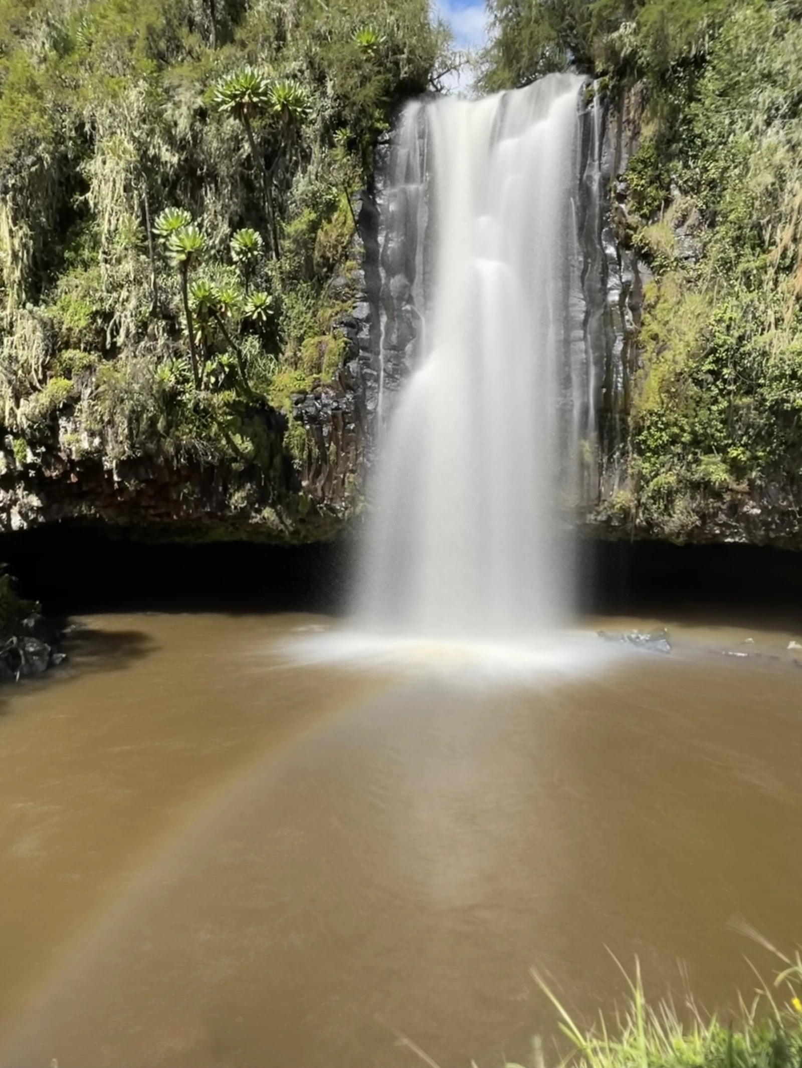 Aberdare National Park,  Kenya