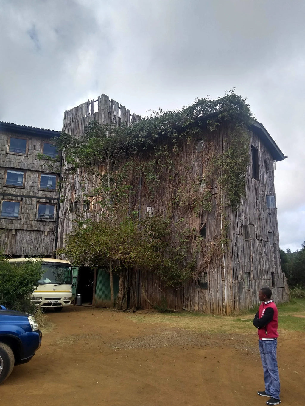 Aberdare National Park,  Kenya