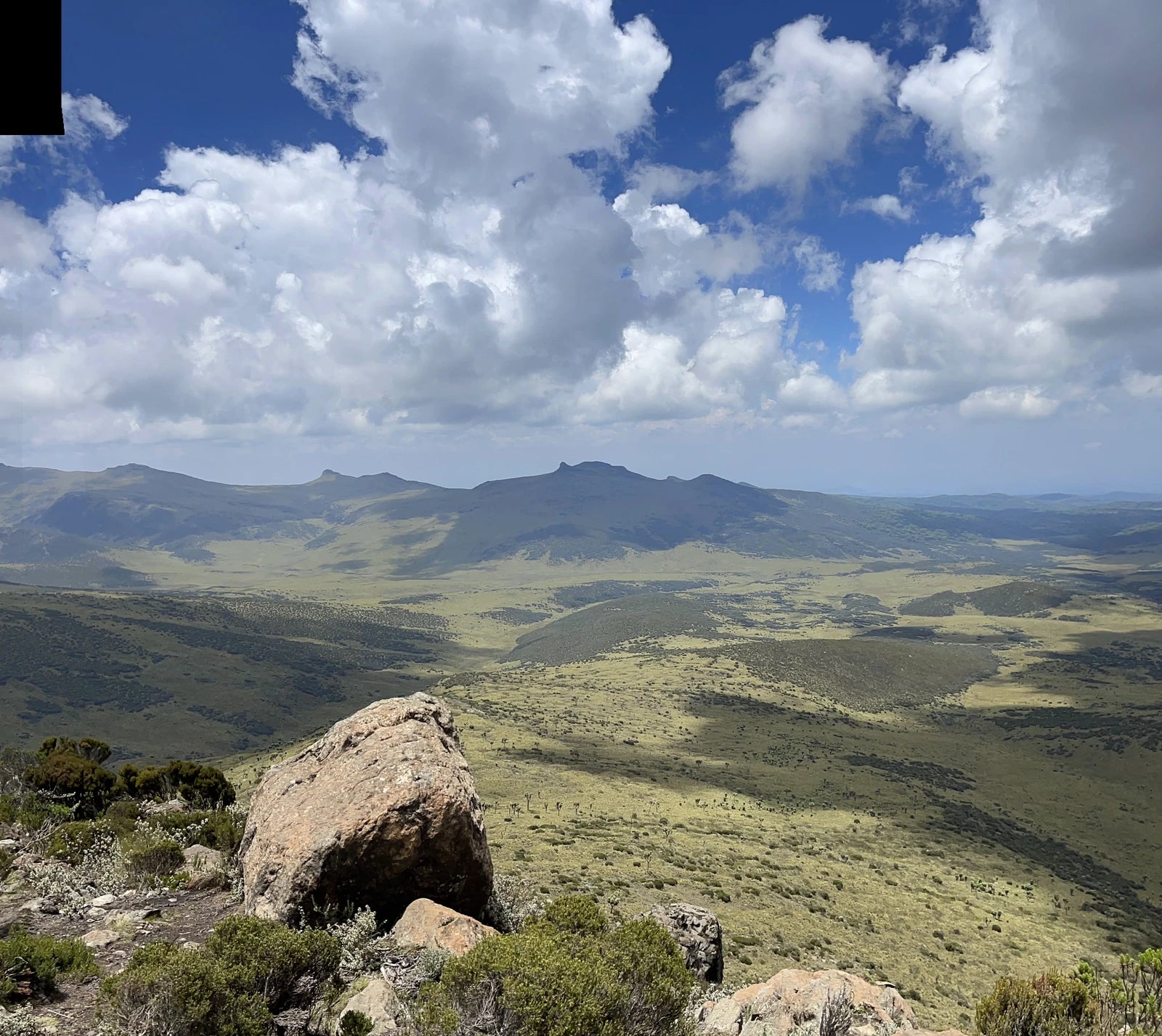Aberdare National Park,  Kenya