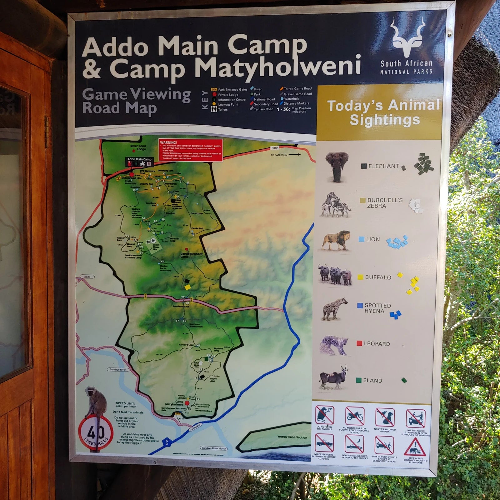 Addo Elephant National Park,  South Africa