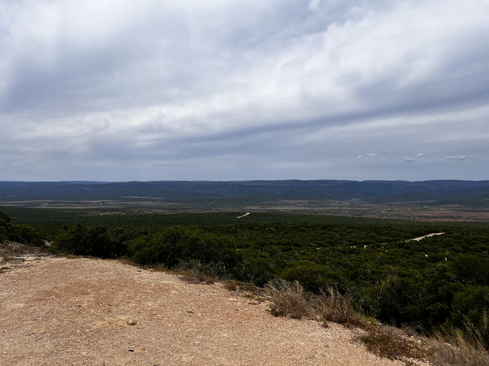 Addo Elephant National Park,  South Africa