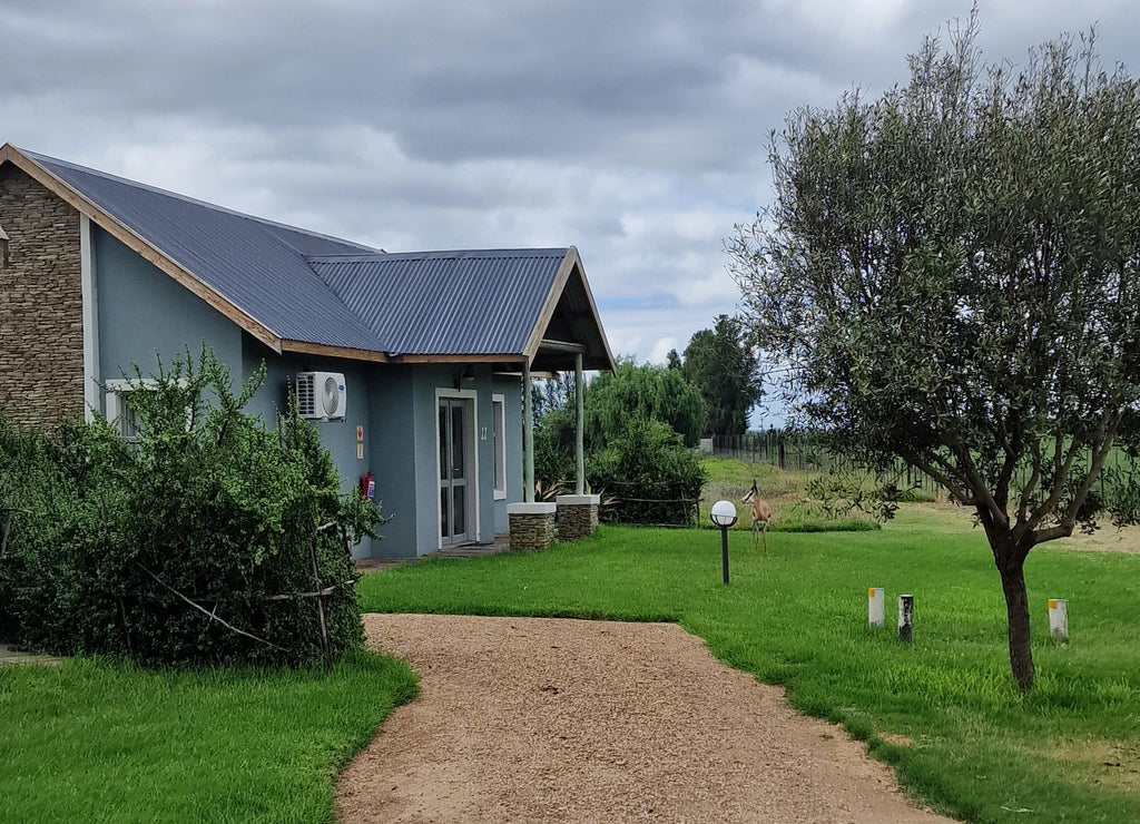 Addo Wildlife, Addo South Africa