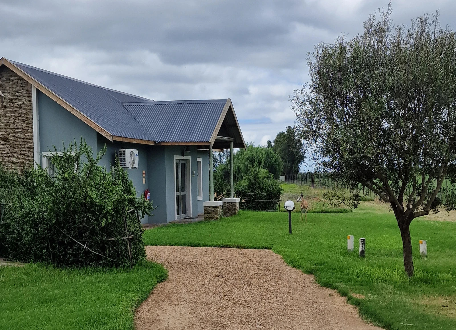 Addo Wildlife, Addo South Africa