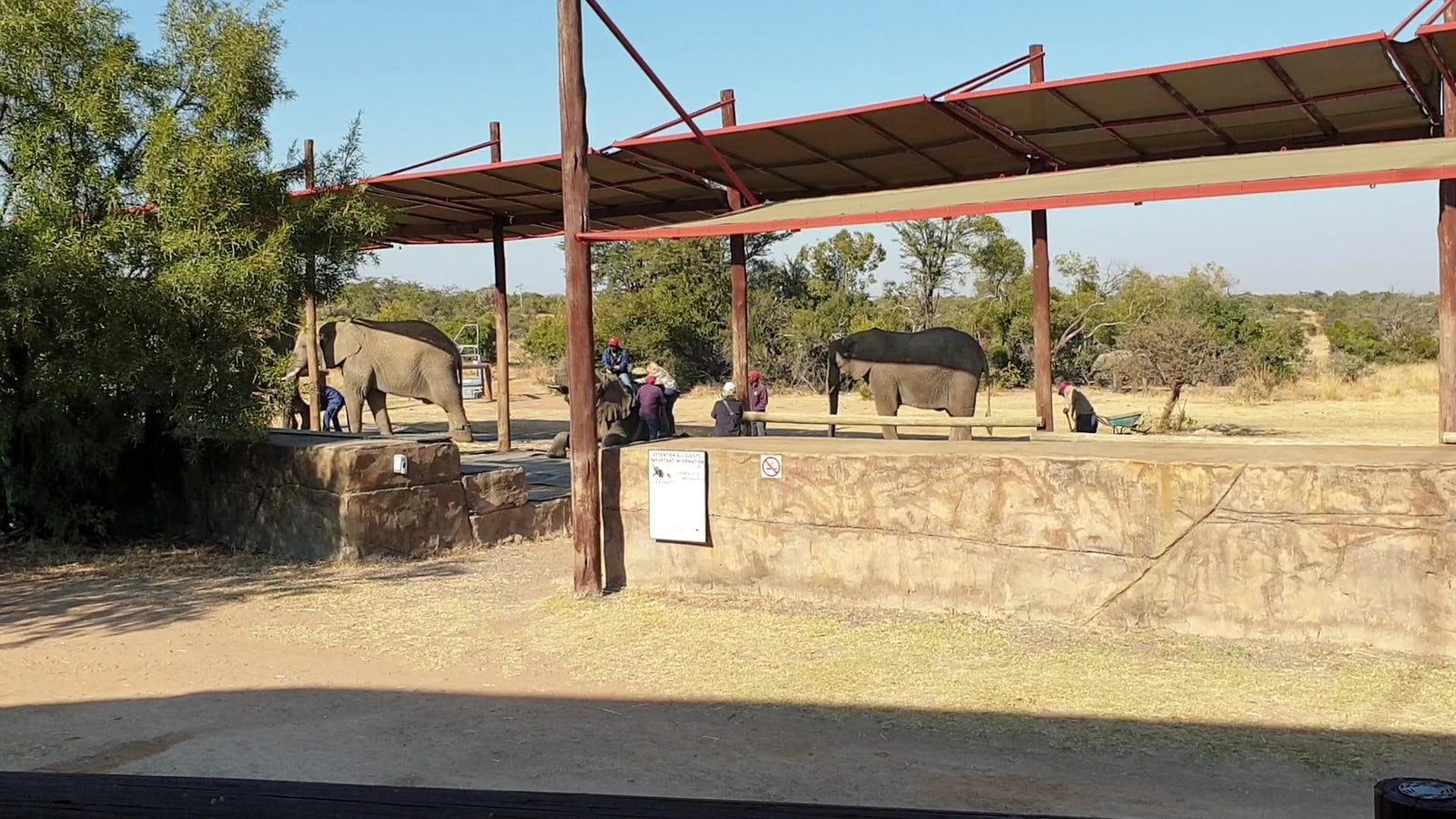 Adventures With Elephants🐘, 
D1000 Mabula District South Africa
