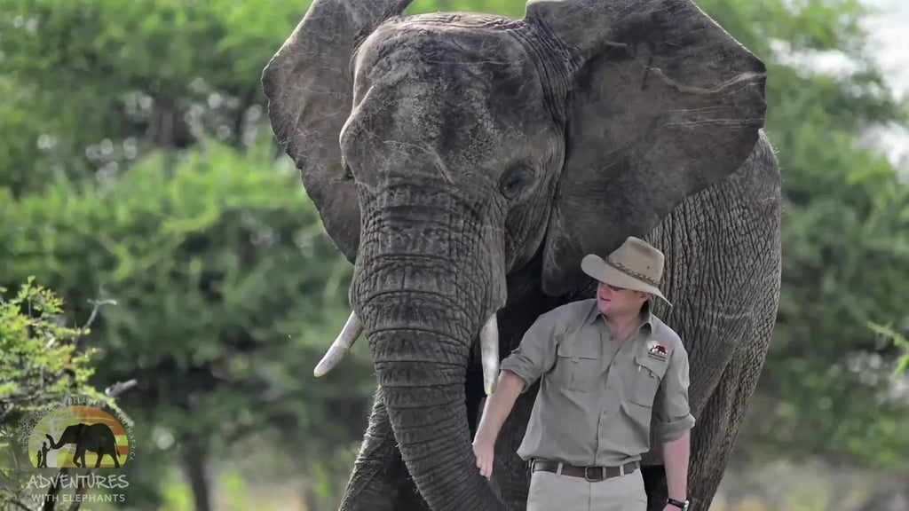 Adventures With Elephants🐘, 
D1000 Mabula District South Africa