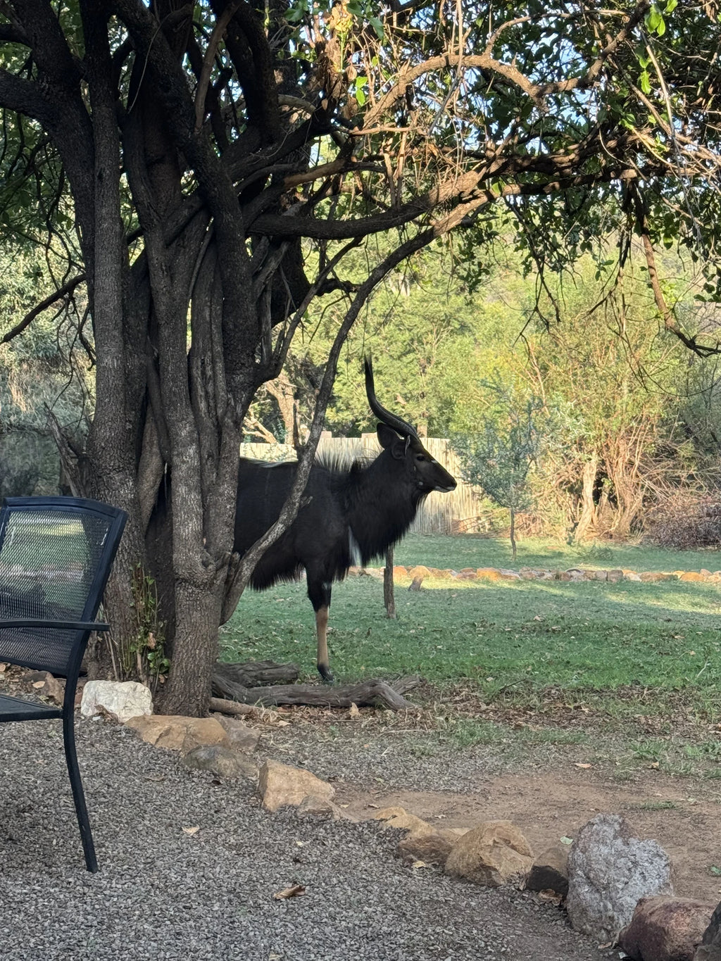 Adventures With Elephants🐘, 
D1000 Mabula District South Africa
