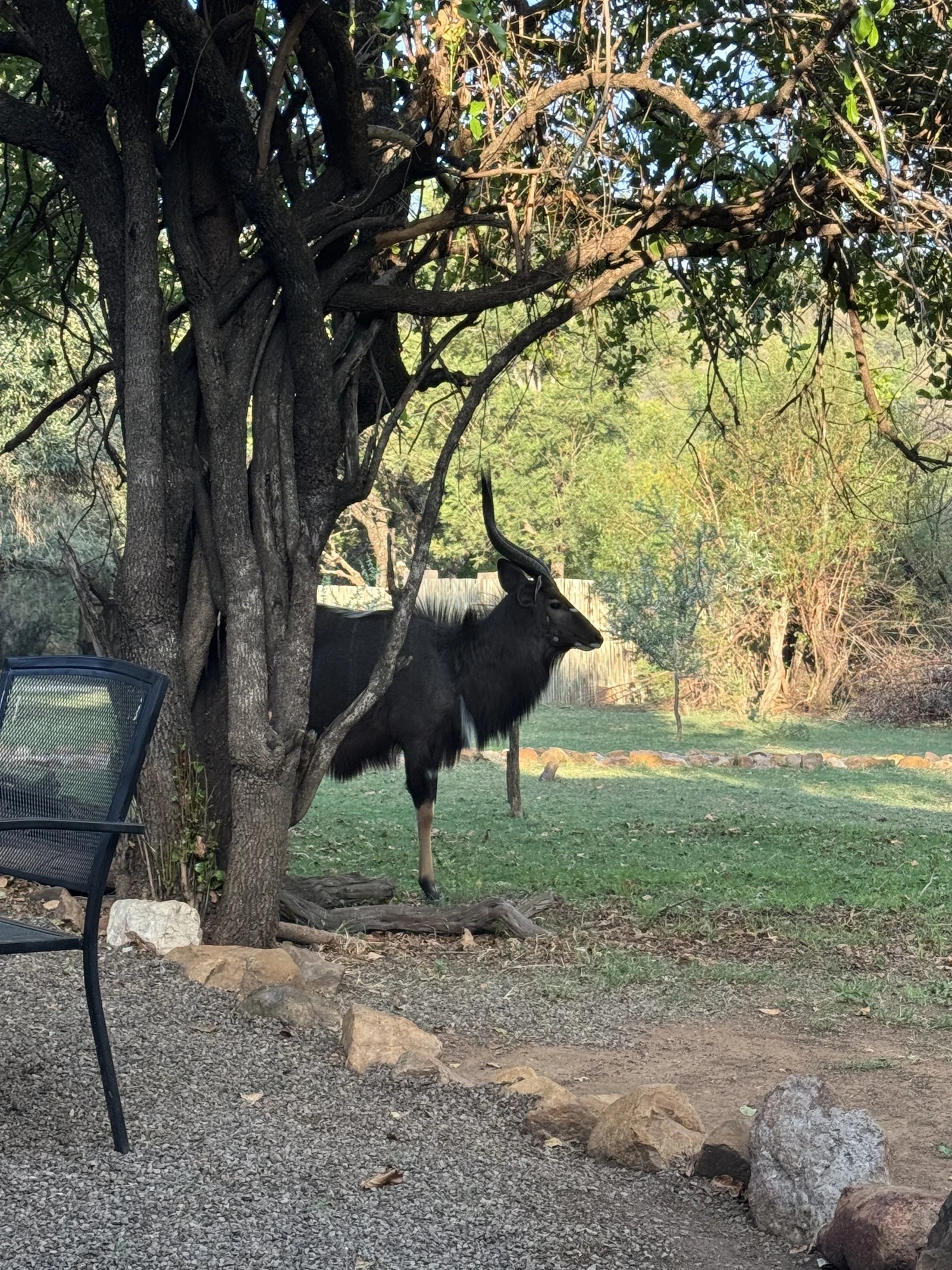 Adventures With Elephants🐘, 
D1000 Mabula District South Africa
