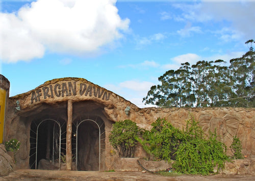 African Dawn Wildlife Sanctuary, Thornhill South Africa