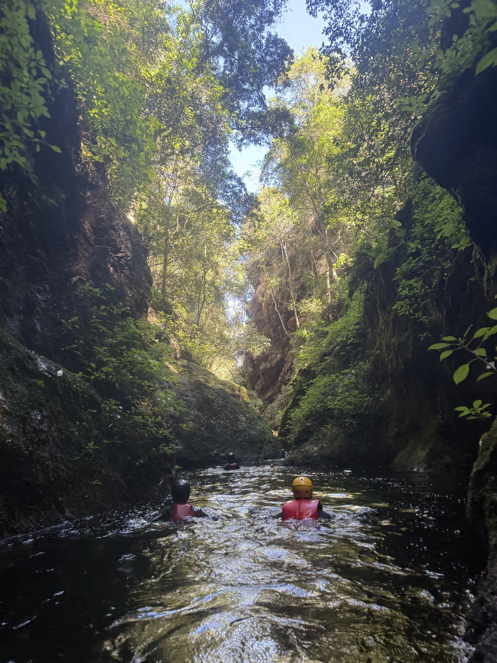 Africanyon River Adventures, Plettenberg Bay South Africa
