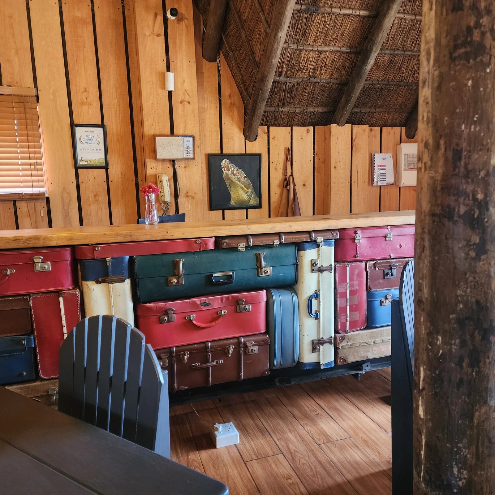 Afrikanos Restaurant and Crocodile Diving, Gansbaai South Africa