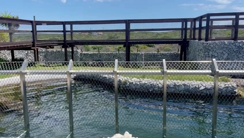 Afrikanos Restaurant and Crocodile Diving, Gansbaai South Africa
