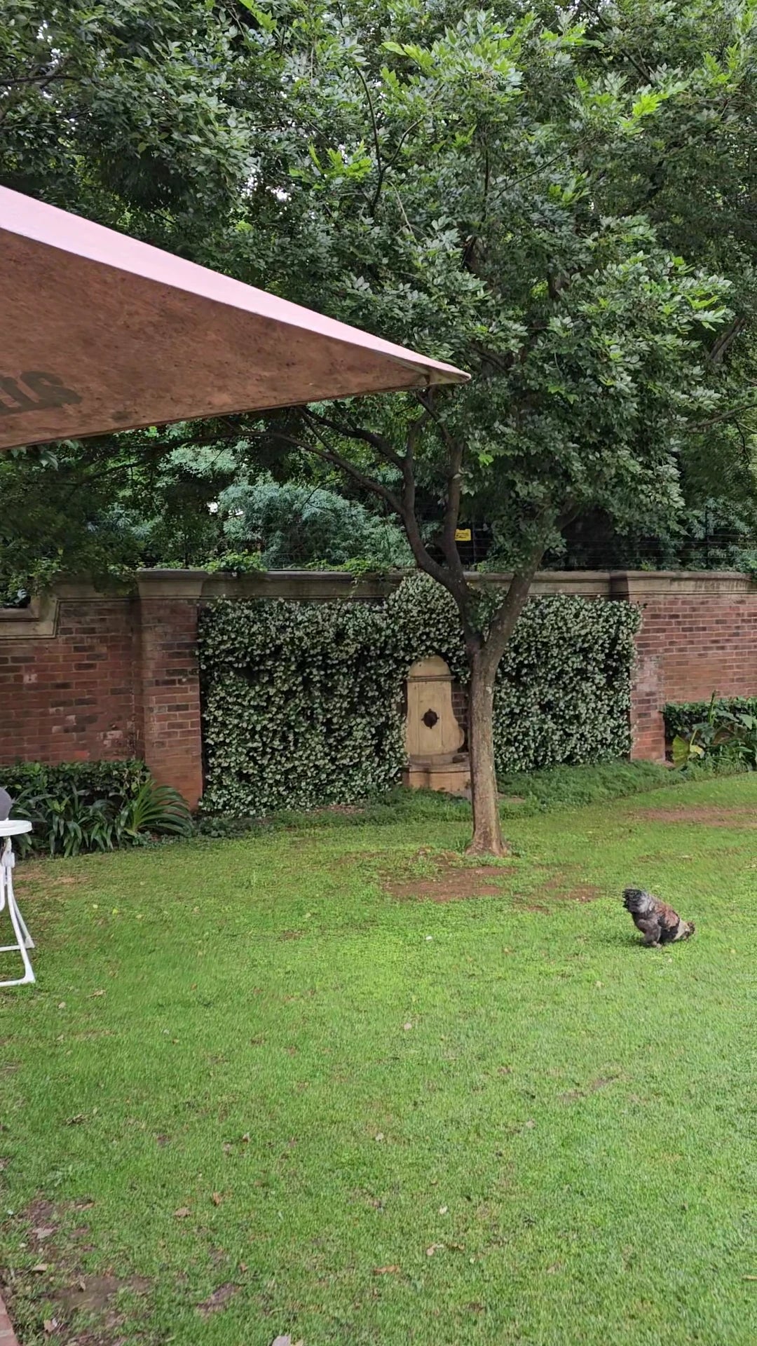 Afro-Boer®, Pretoria South Africa