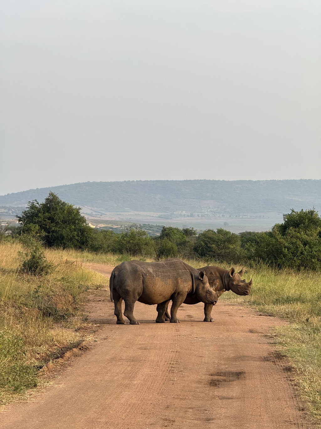 Akagera National Park,  Rwanda
