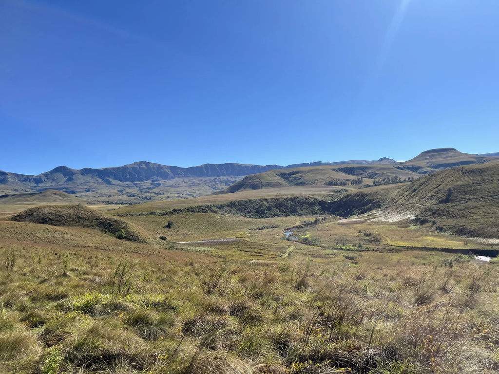 All Out Adventures, Bergville South Africa