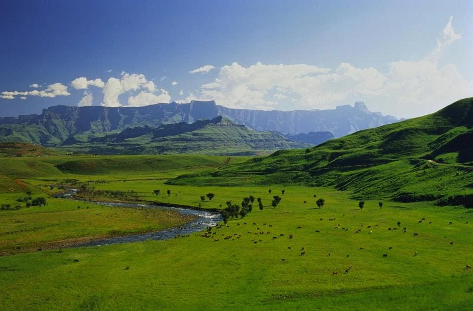 All Out Adventures, Bergville South Africa