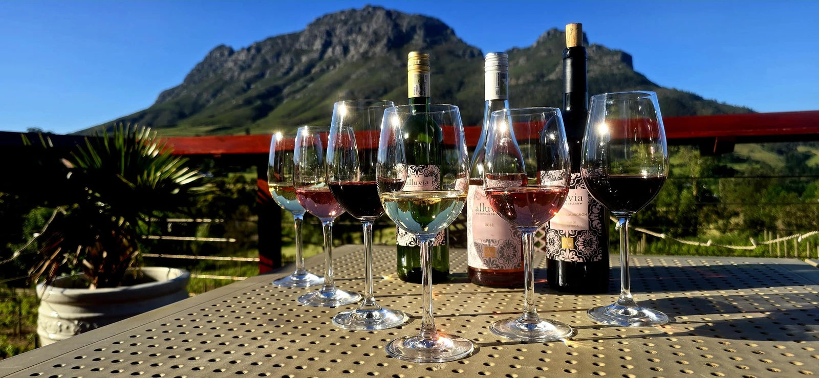Alluvia Boutique Winery, Stellenbosch South Africa