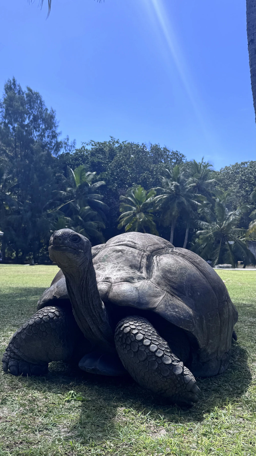 Angel Tours Boat Charter,Praslin Seychelles, Praslin Seychelles