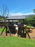 Animal Farm, Hillcrest South Africa