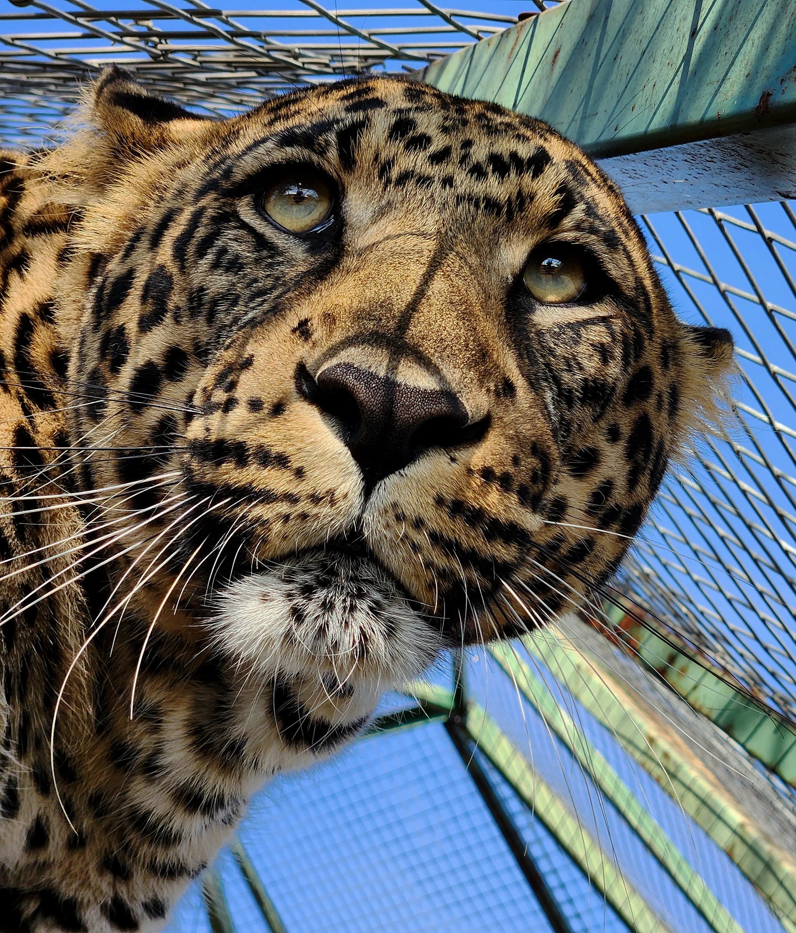 Animal World Game Park & Zoo, Vanderbijlpark South Africa