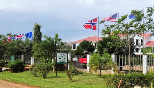 Arc Hotel, 
Nanenane Road Tanzania