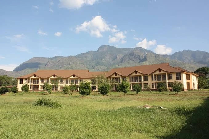 Arc Hotel, 
Nanenane Road Tanzania