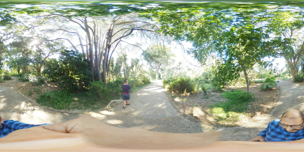 Arderne Gardens, Cape Town South Africa
