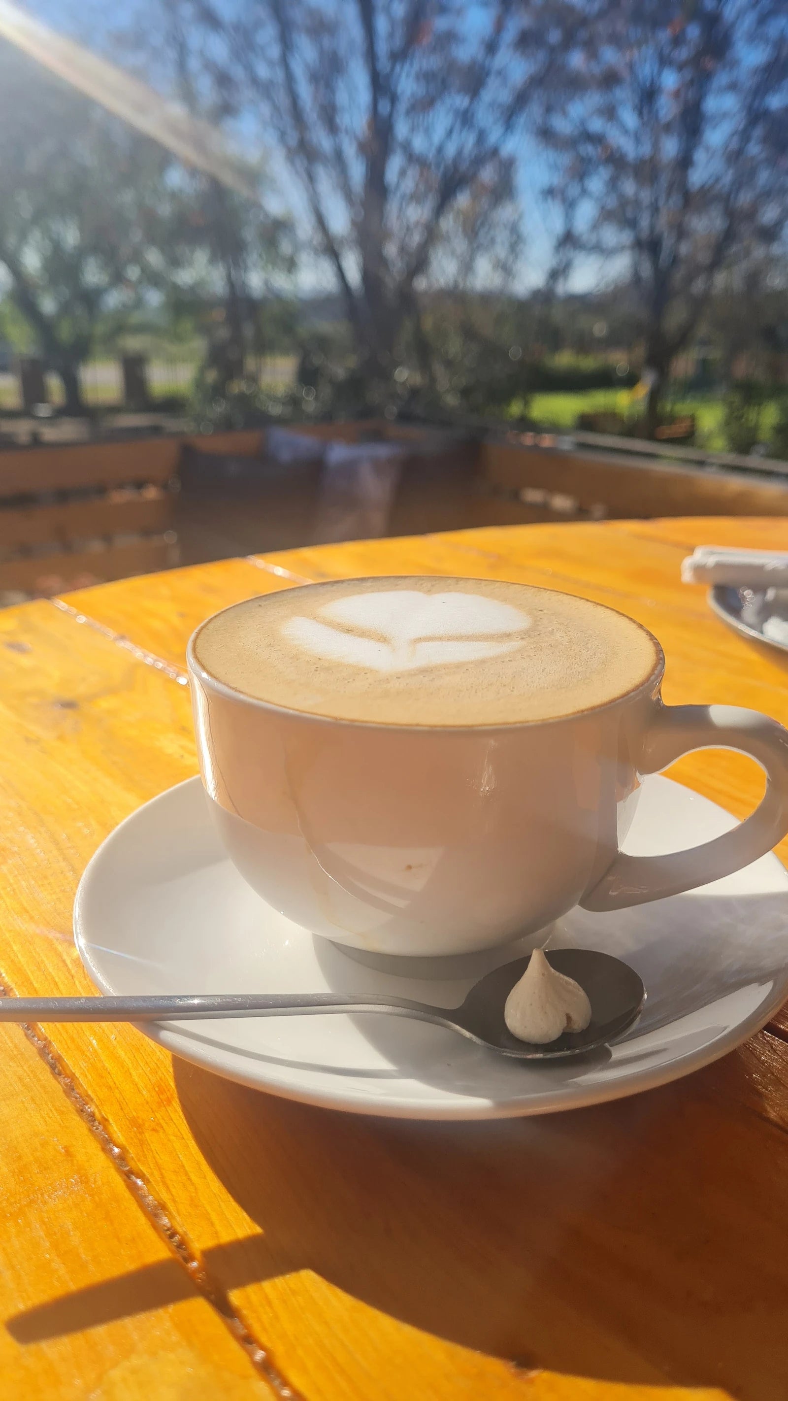 Aroma Coffee Roastery & Gelato Shere Silverlakes, Pretoria South Africa