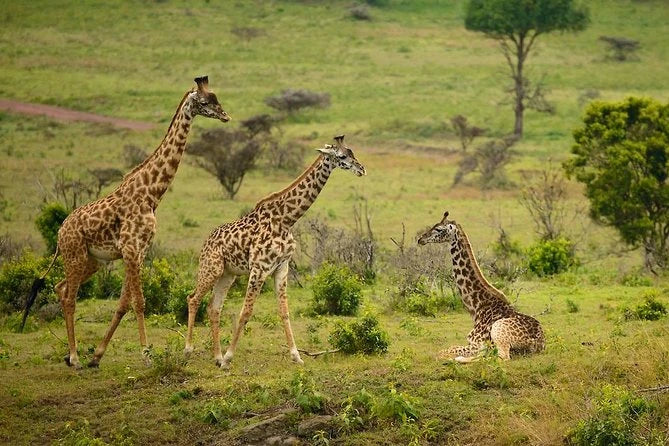 Arusha National Park