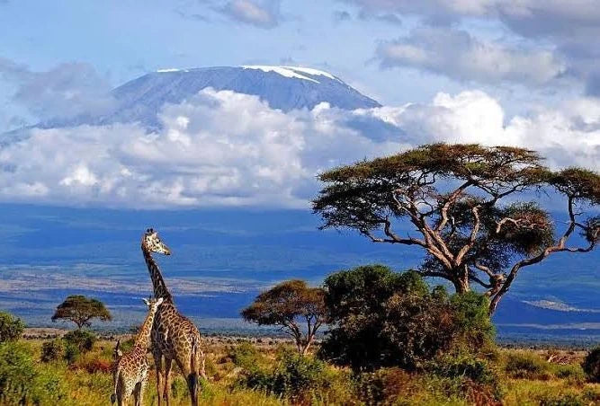 Arusha National Park,  Tanzania