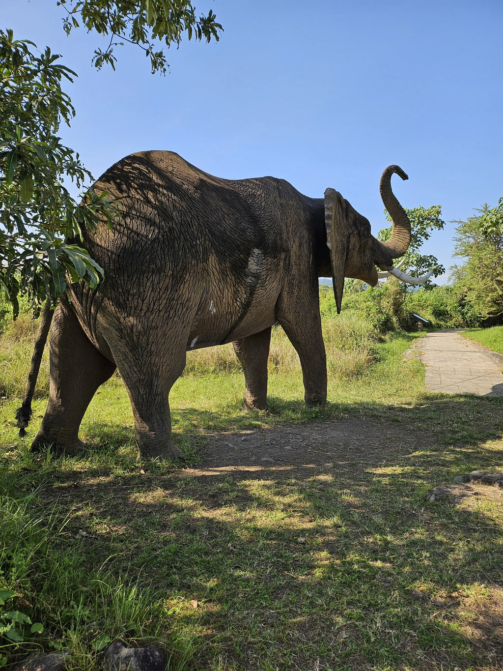 Arusha National Park,  Tanzania