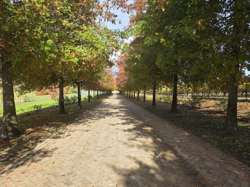 Asara Wine Estate & Hotel, Stellenbosch South Africa