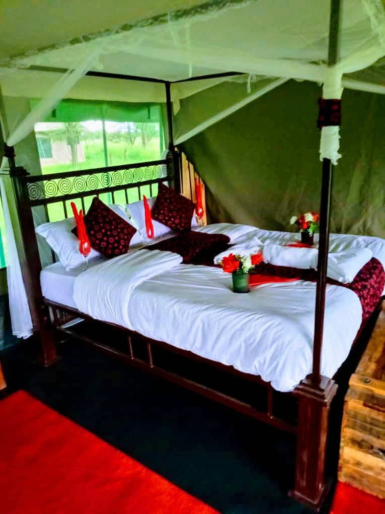 Authentic Africa Travel, 
Soweto 0000 Tanzania