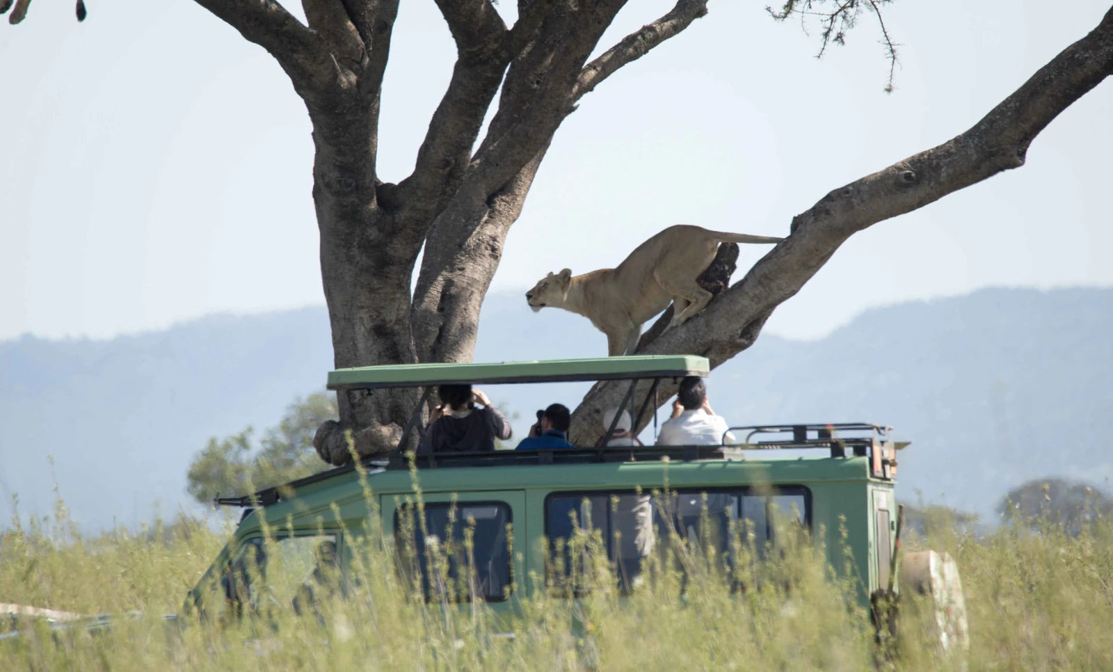 Authentic Africa Travel, 
Soweto 0000 Tanzania