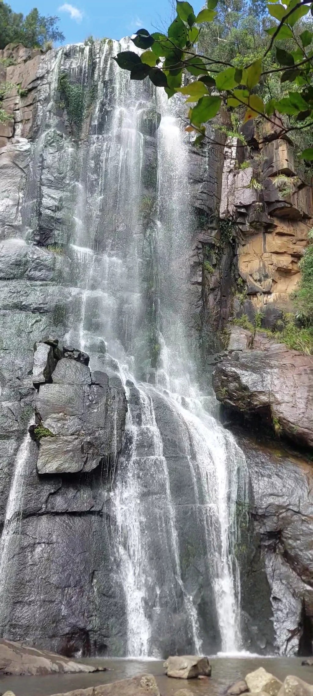 Away with the Fairies - Nature Lodge, Hogsback South Africa