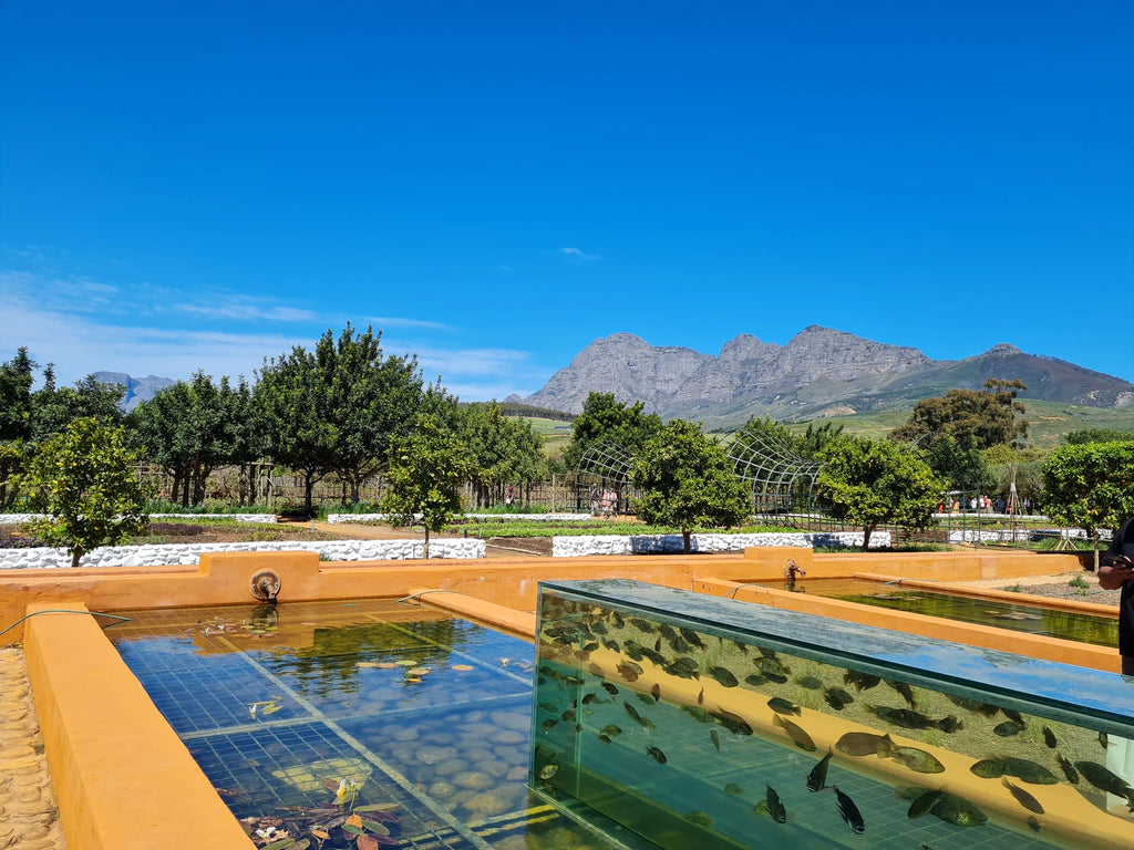 Babylonstoren, Simondium South Africa
