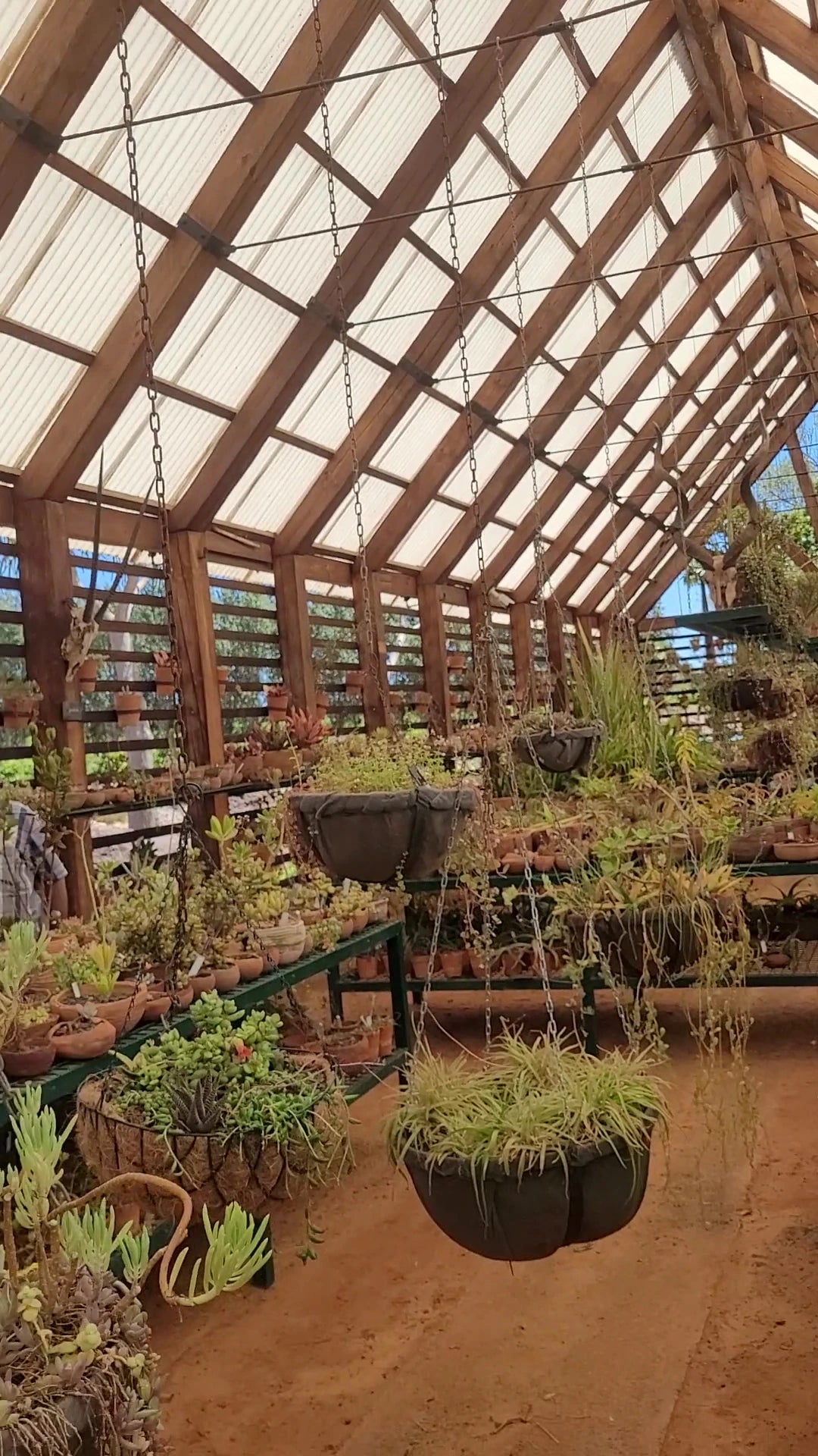Babylonstoren Wine Estate, Simondium South Africa