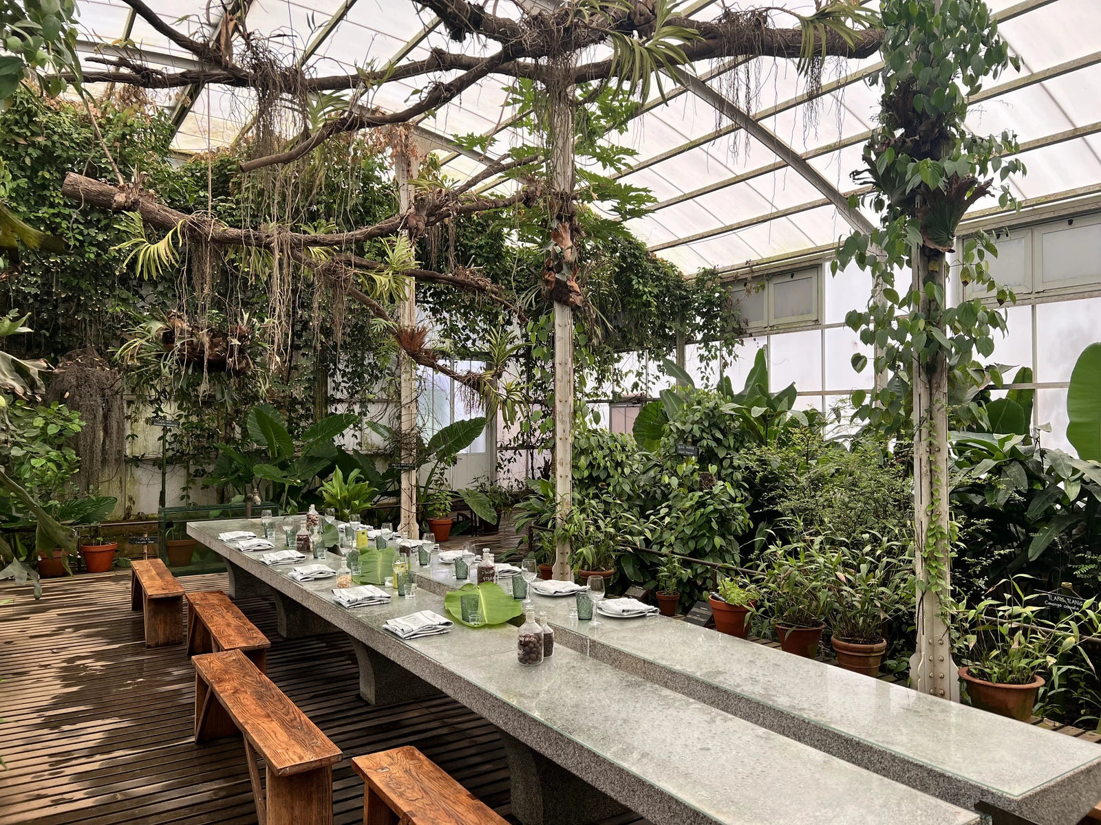 Babylonstoren Wine Estate, Simondium South Africa
