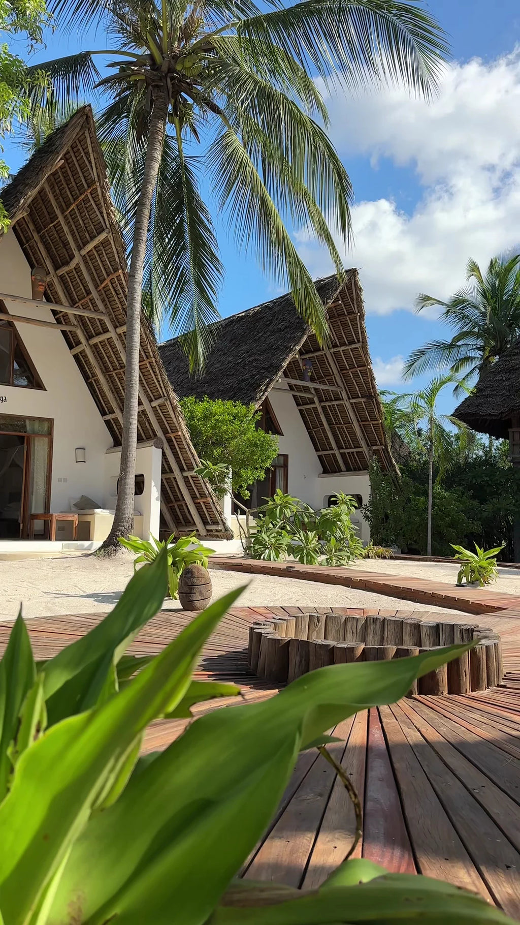 Baladin Zanzibar Beach Hotel, Pingwe Tanzania
