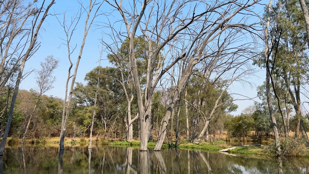 Bass Lake Country Lodge, Pretoria South Africa