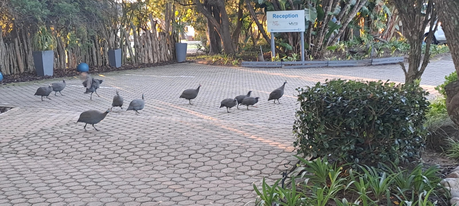 Baywater Village, Sedgefield South Africa