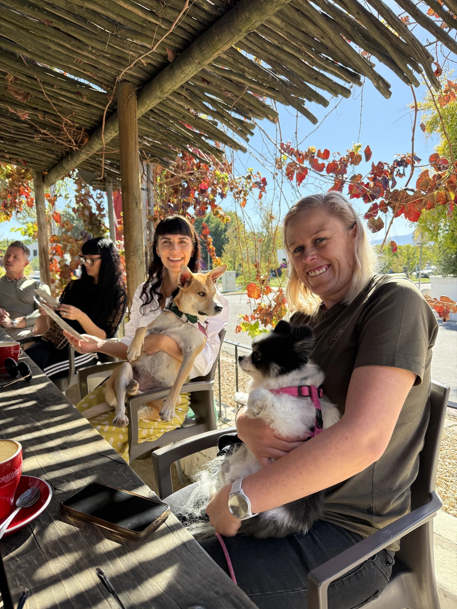 Beans About Coffee, Riebeek Kasteel, Riebeek-Kasteel South Africa