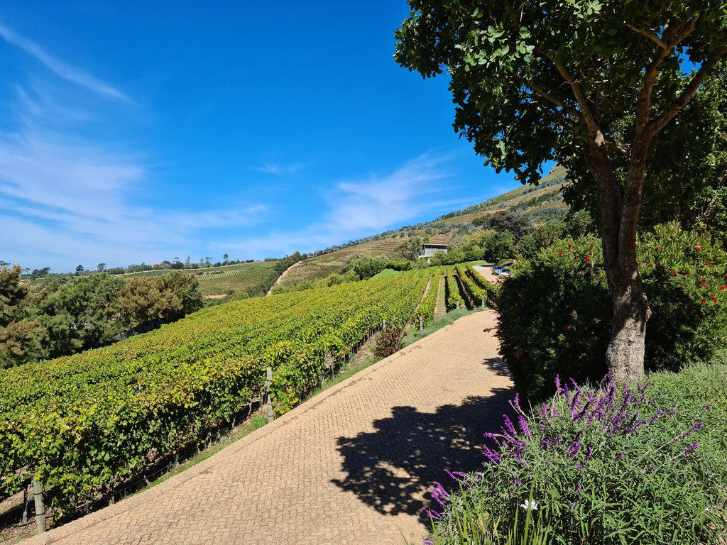 Beau Constantia,  South Africa