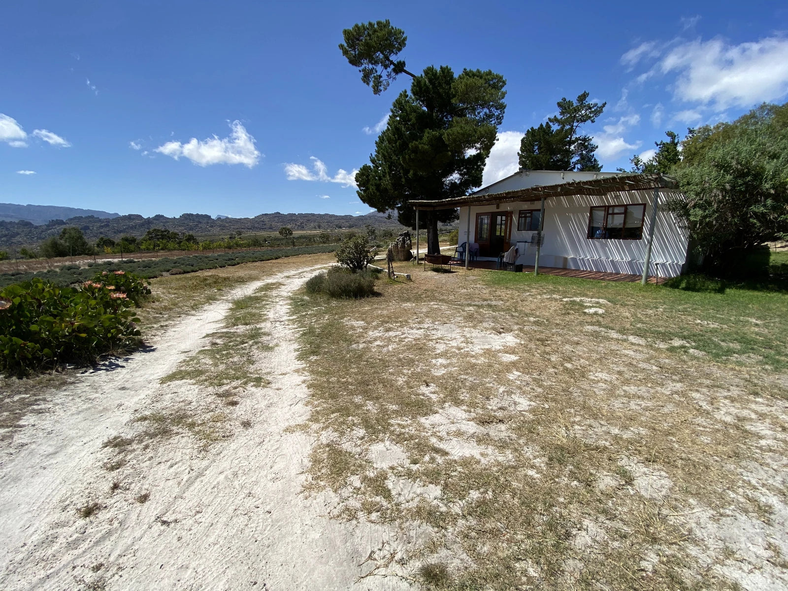Beaverlac, 
Porterville South Africa