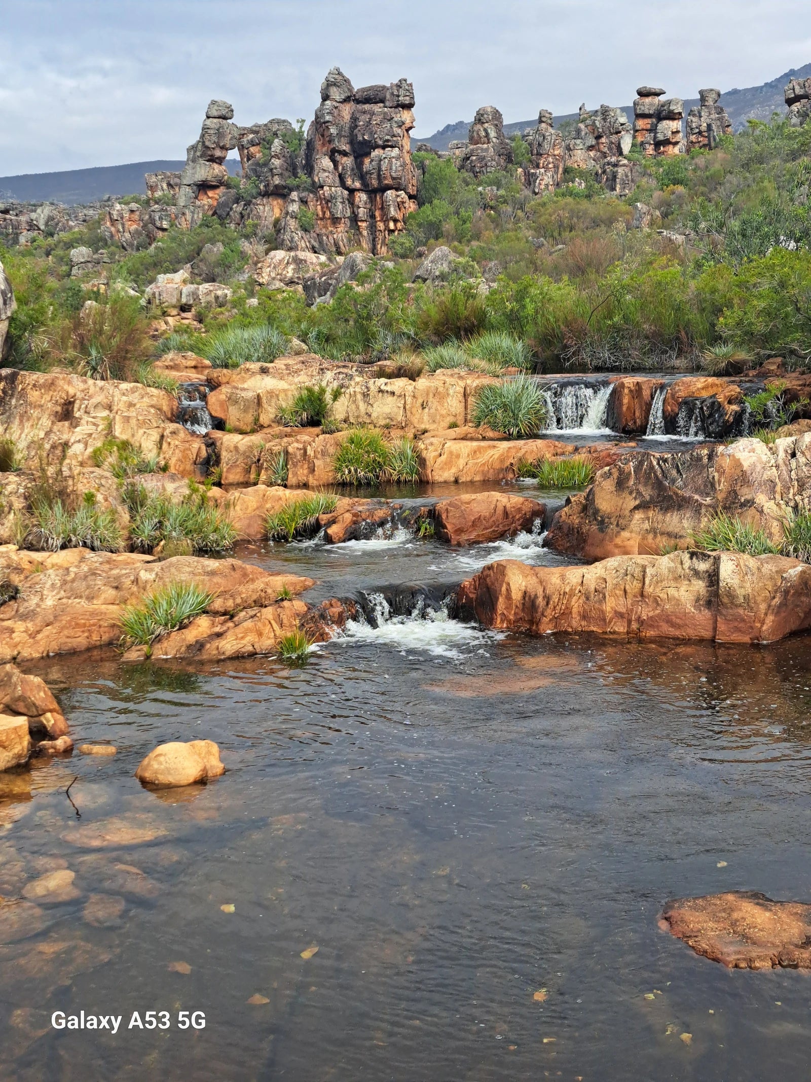 Beaverlac, 
Porterville South Africa
