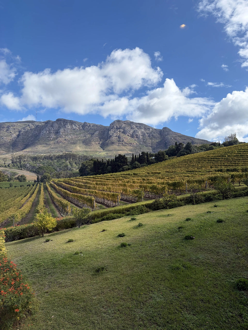 Beyond Restaurant, Cape Town South Africa