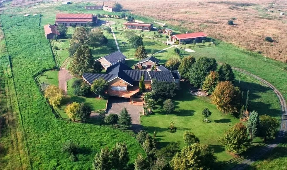 Biekie Bos, Meyerton South Africa